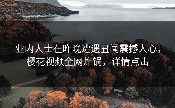 业内人士在昨晚遭遇丑闻震撼人心，樱花视频全网炸锅，详情点击