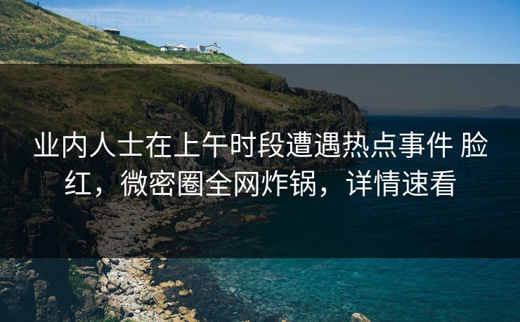 业内人士在上午时段遭遇热点事件 脸红，微密圈全网炸锅，详情速看
